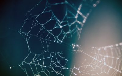 How to Choose the Right Hosting Plan